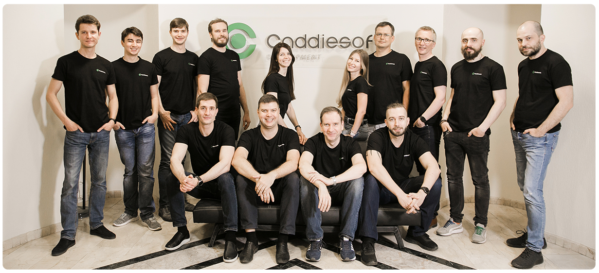 Custom software development services